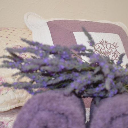 Hotel La Bastide De Sauvetas Bonlieu-sur-Roubion Zewnętrze zdjęcie